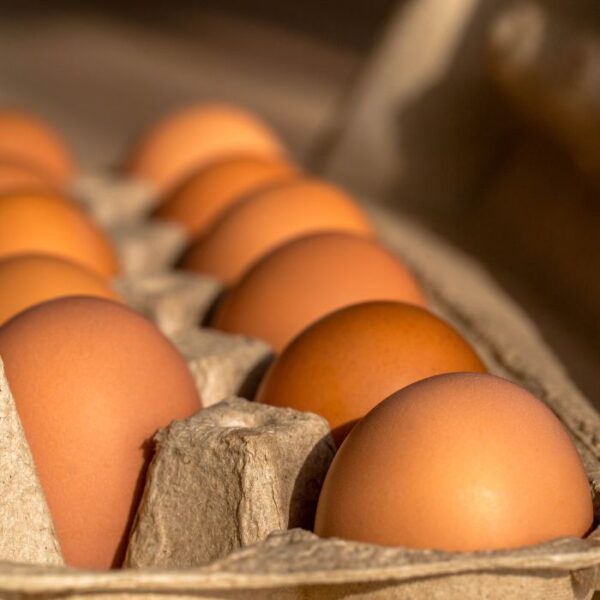 Pasture raised eggs