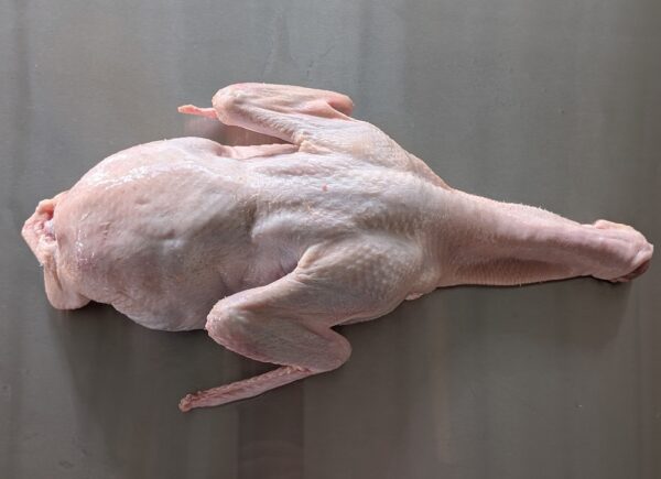 Whole Duck